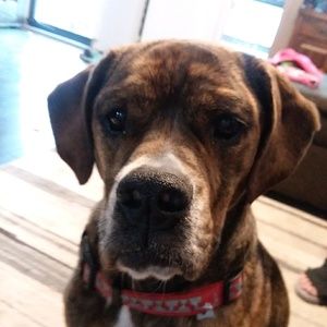 Meet your Posher, Alanna